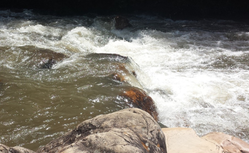 Associação de Produtores de Maçã de Alcobaça quer avançar com projeto para construir micro represas nos rios do Oeste