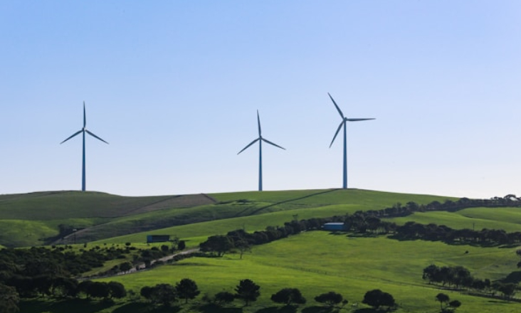 Portugal entre os países com maior consumo de energia renovável na UE em 2023