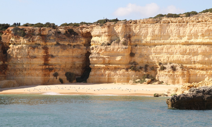 Recargas de areia apresentam grande contributo para atenuar processos erosivos nas zonas costeiras