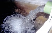 Esposende Ambiente recebe certificação do sistema de qualidade e ambiente