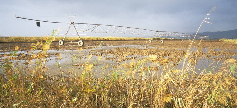 Portugal tem área de agricultura biológica na média da UE