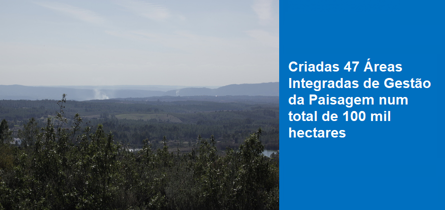 Criadas 47 Áreas Integradas de Gestão da Paisagem num total de 100 mil hectares