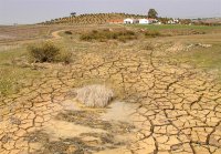 Expo Energia 2009: Alterações climáticas podem ser uma oportunidade para a indústria