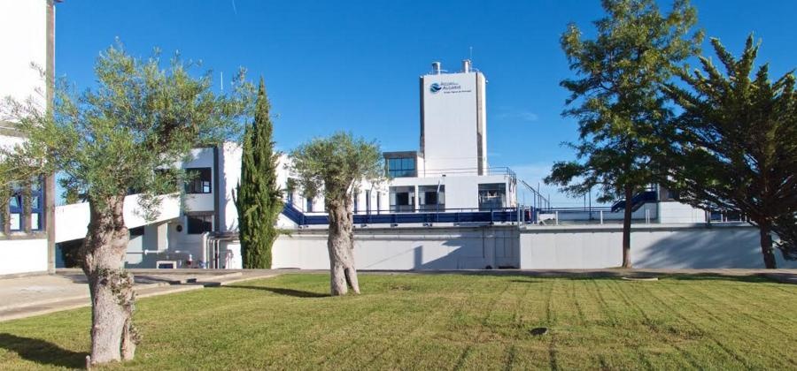 Águas do Algarve lança concurso público para aquisição de serviços de manutenção 