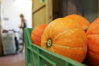 Agricultura biológica cresce 8 por cento em Portugal