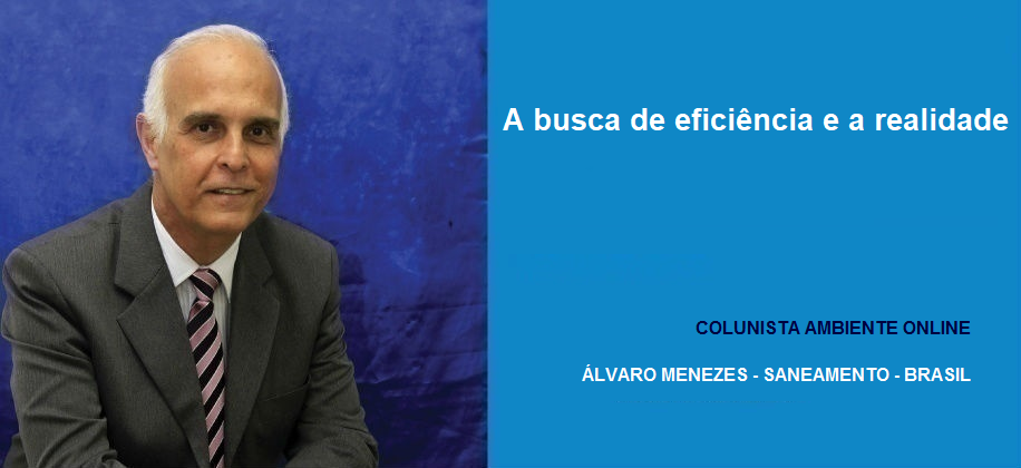 A busca de eficiência e a realidade