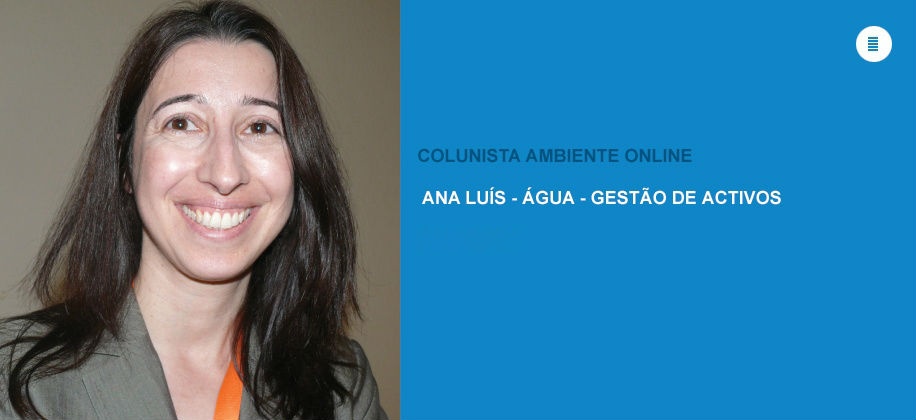 Colunista Ana Luís (Água - Gestão de Ativos): O ativo, o sistema de ativos e a gestão de ativos  