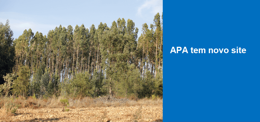 APA tem novo site