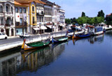Aveiro vai construir três corredores ecológicos