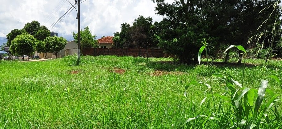 Partidos da maioria propõem alterações à gestão dos baldios