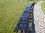Obras do maior jardim de Leiria começam na próxima semana