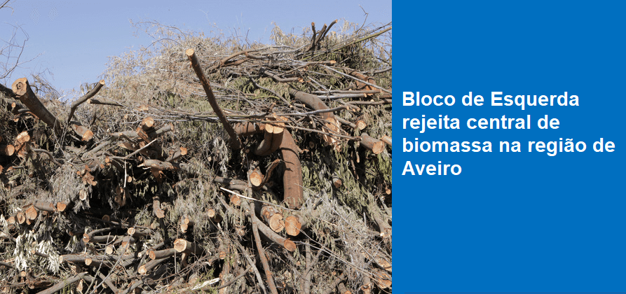 Bloco de Esquerda rejeita central de biomassa na região de Aveiro