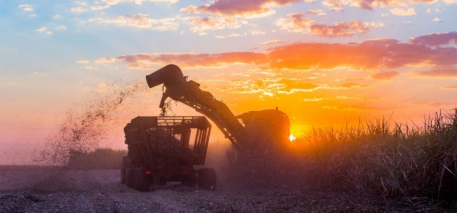 2018 foi o quarto maior ano de aquecimento da Terra desde que há registos