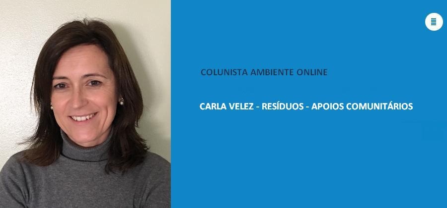 Carla Velez (Resíduos): Mecanismo Financeiro do Espaço Económico Europeu - EEA Grants