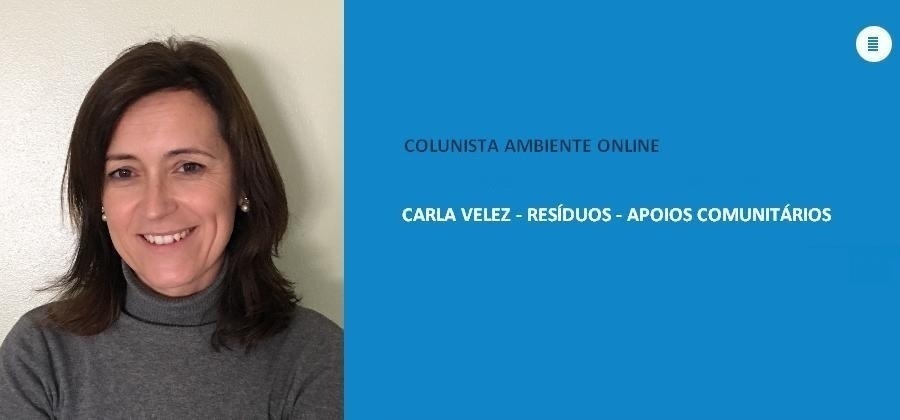 Carla Velez (Resíduos): Matchmaking sobre a Aplicação dos princípios da Economia Circular