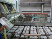 Papel e cartão ganham nova vida para acondicionar ovos