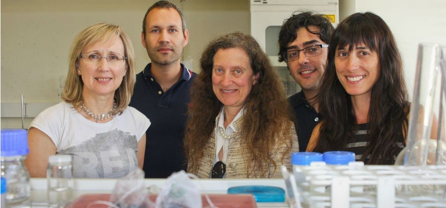 Investigadores da Universidade de Aveiro inventam “chá” para descontaminar águas