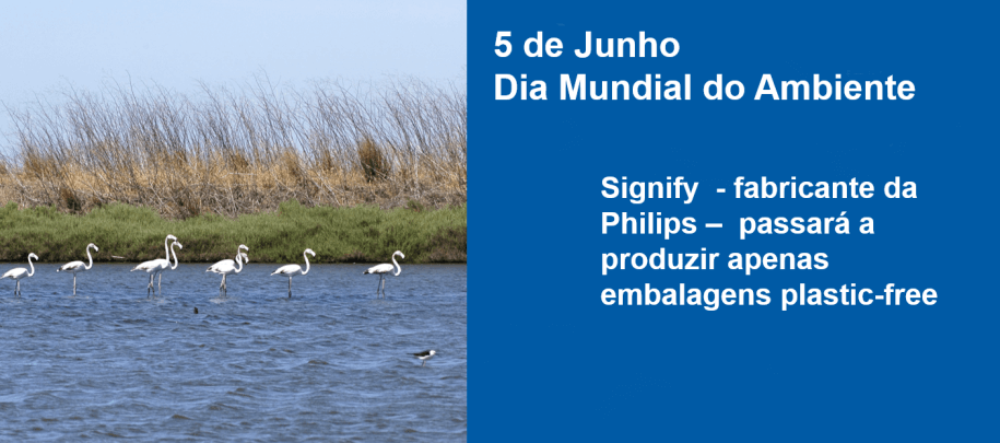 5 de Junho - Dia Mundial do Ambiente