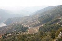 Jovens urbanistas de todo o mundo lançam proposta de sustentabilidade para o rio Douro 