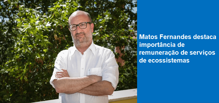 Matos Fernandes destaca importância da remuneração de serviços de ecossistemas