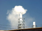 Mercado de carbono inicia o ano a subir 