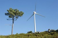 Parque eólico da Serra de Sicó inaugurado no Dia Mundial do Ambiente