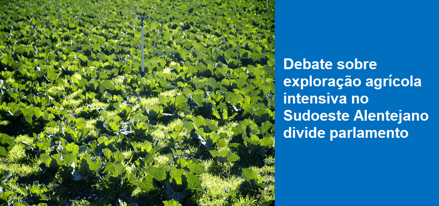 Debate sobre exploração agrícola intensiva no Sudoeste Alentejano divide parlamento