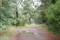 Advogados: Tozinni Freire Advogados assessora aquisição de activos florestais