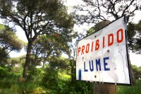 Prevenção de incêndios já abrangeu 98 mil hectares