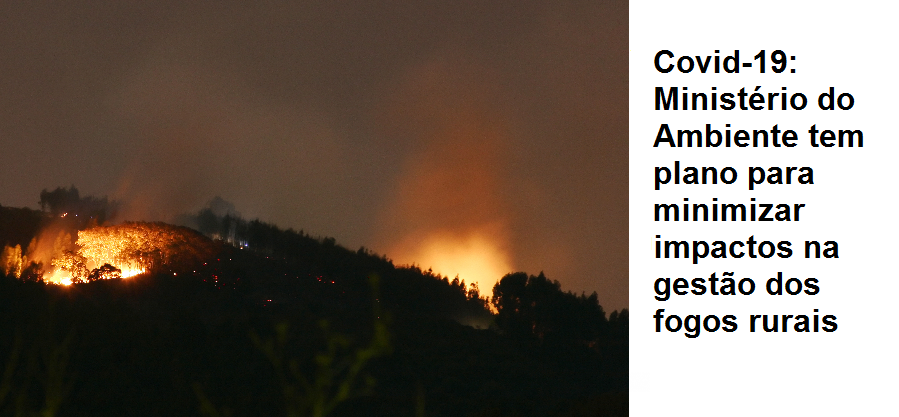 Covid-19: Ministério do Ambiente tem plano para minimizar impactos na gestão dos fogos rurais