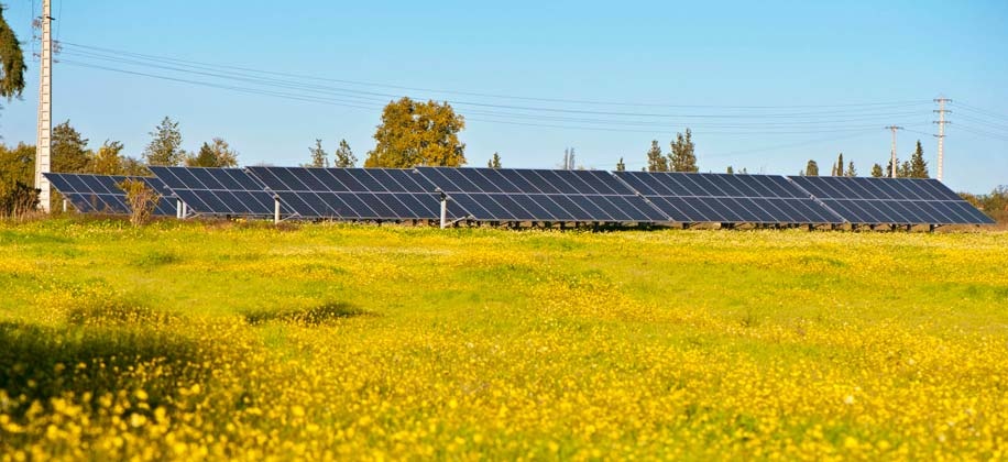 Parque fotovoltaico da Quinta da Alorna vai permitir retorno de 300 mil euros em 15 anos