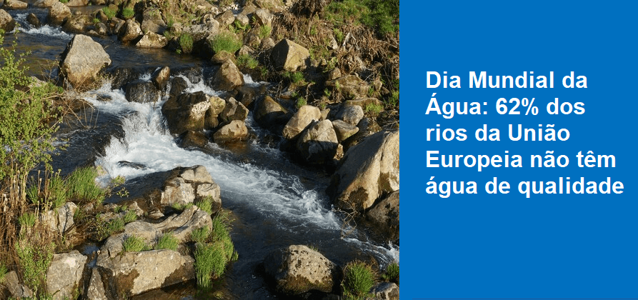 Dia Mundial da Água: 62% dos rios da União Europeia não têm água de qualidade