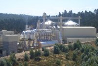 Empresa em Destaque: Grupo Gesfinu lidera mercado de peletes em Portugal