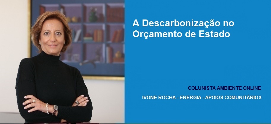 Colunista Ivone Rocha (Energia): A Descarbonização no Orçamento de Estado