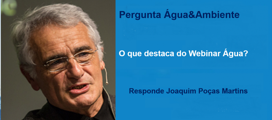 Webinar Água&Ambiente - Água por Joaquim Poças Martins
