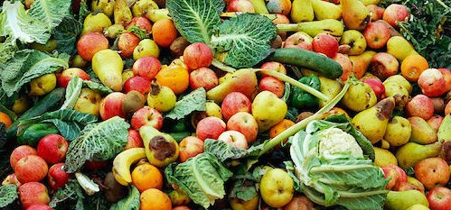 Um quarto dos alimentos desperdiçados mataria a fome a 805 milhões de pessoas