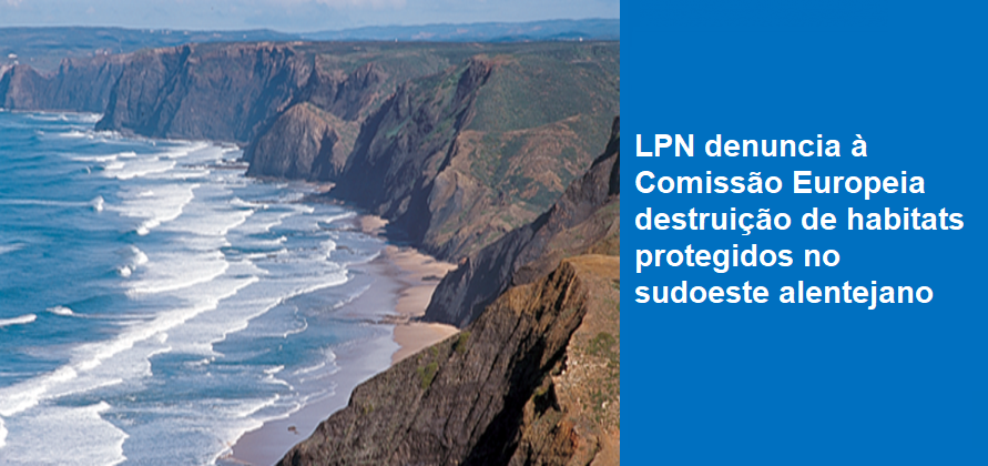 LPN denuncia à Comissão Europeia destruição de habitats protegidos no sudoeste alentejano