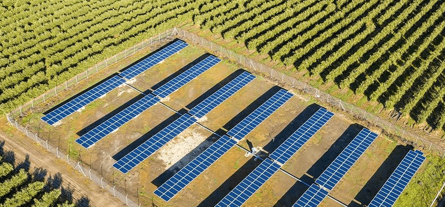 Irrigação fotovoltaica testada em Alter do Chão 