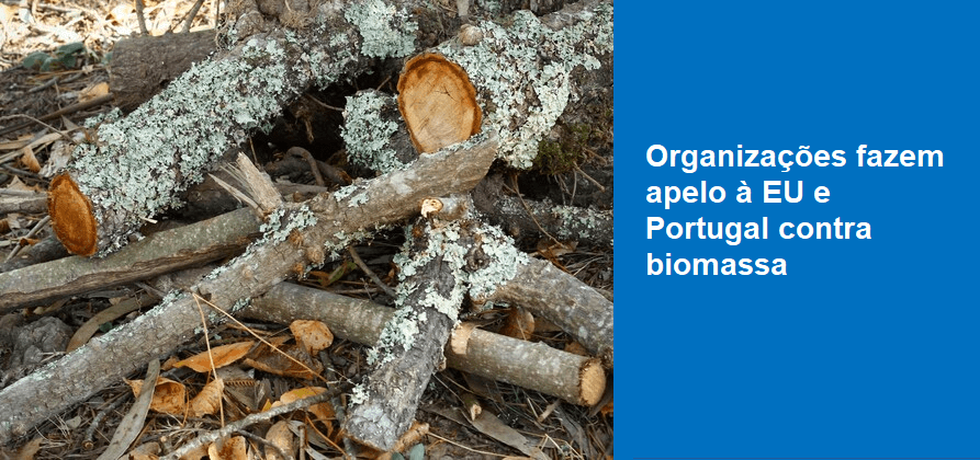 Organizações fazem apelo à EU e Portugal contra biomassa 