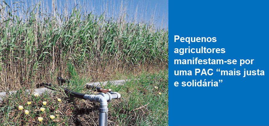 Pequenos agricultores manifestam-se por uma PAC “mais justa e solidária”