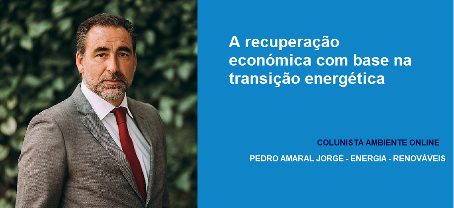 Pedro Amaral Jorge (Energia-Renováveis): A recuperação económica com base na transição energética