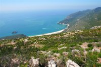 CTT juntam-se à causa da biodiversidade