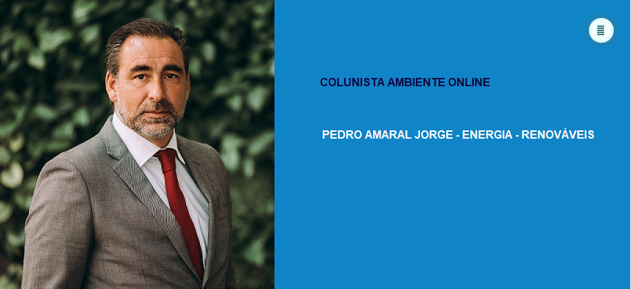 Pedro Amaral Jorge (Renováveis): Descarbonização como novo modelo de desenvolvimento