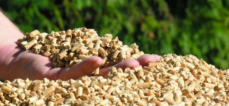 Fábrica de pelletes e briquetes de Portalegre é exemplo de potencial da bioenergia