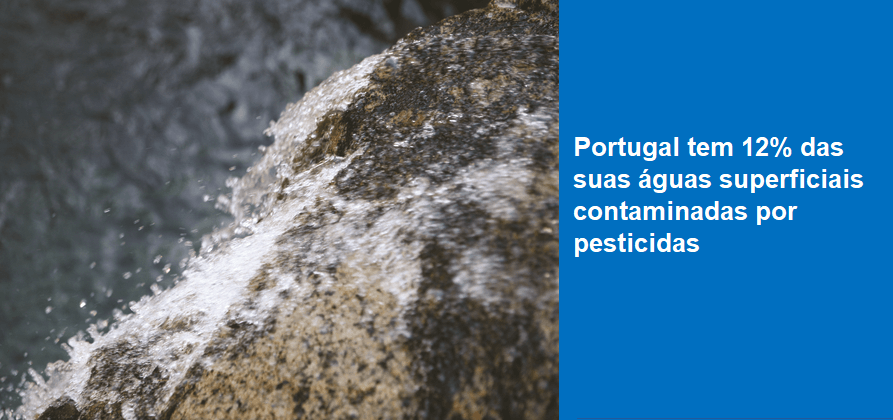 Portugal tem 12% das suas águas superficiais contaminadas por pesticidas