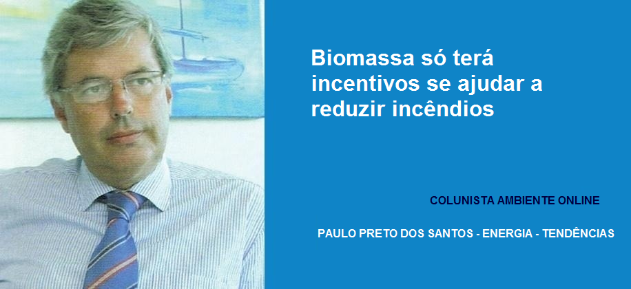 Biomassa só terá incentivos se ajudar a reduzir incêndios 