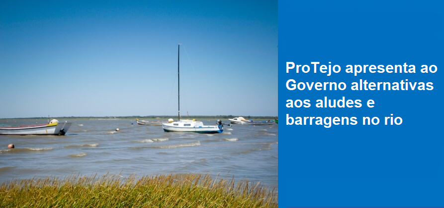 ProTejo apresenta ao Governo alternativas aos aludes e barragens no rio