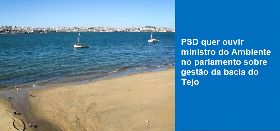 PSD quer ouvir no parlamento ministro do Ambiente sobre gestão da bacia do Tejo