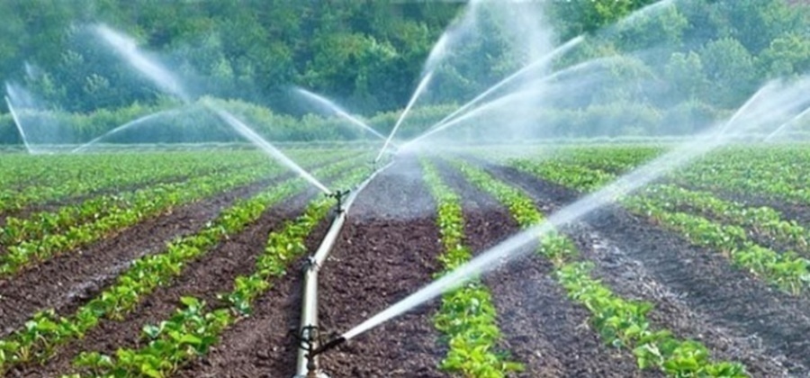 FENAREG apresenta a Ministra da Agricultura prioridades do regadio 