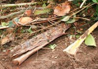 Agrupamento Miese ganha central de biomassa em Vila Real